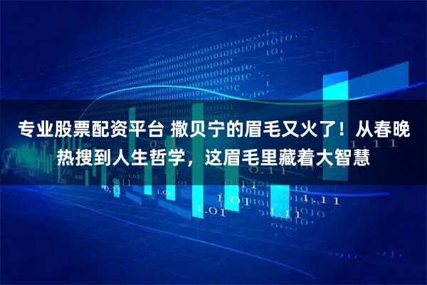 专业股票配资平台 撒贝宁的眉毛又火了！从春晚热搜到人生哲学，这眉毛里藏着大智慧